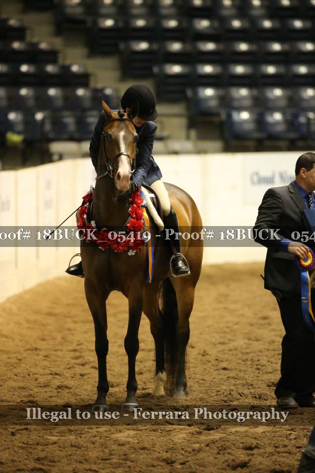 Proof 18BUCK_05419