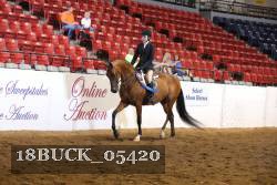 18BUCK_05420 proof