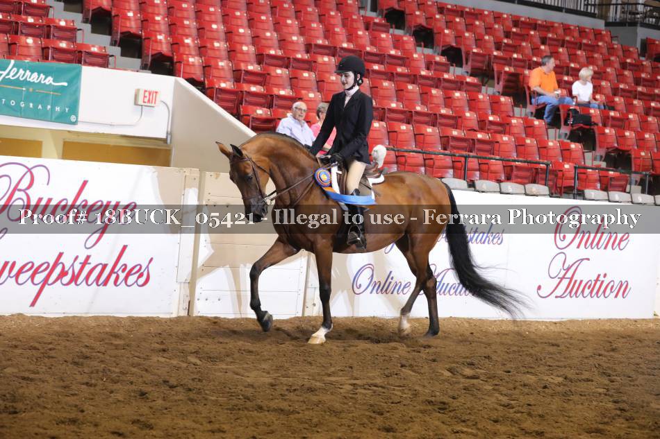 Proof 18BUCK_05421