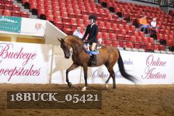 18BUCK_05421 proof