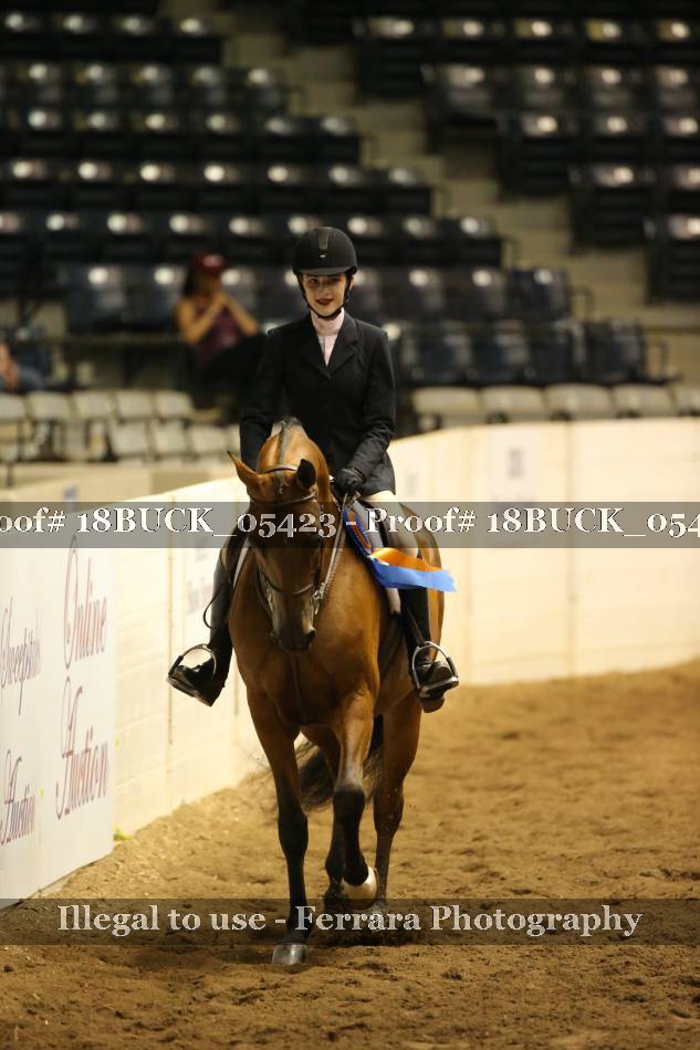 Proof 18BUCK_05423