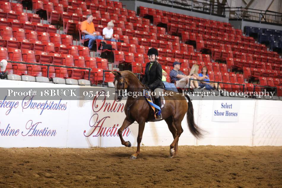 Proof 18BUCK_05424