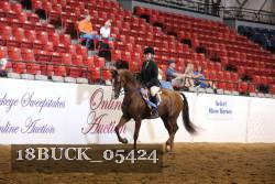 18BUCK_05424 proof