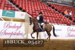 18BUCK_05427 proof