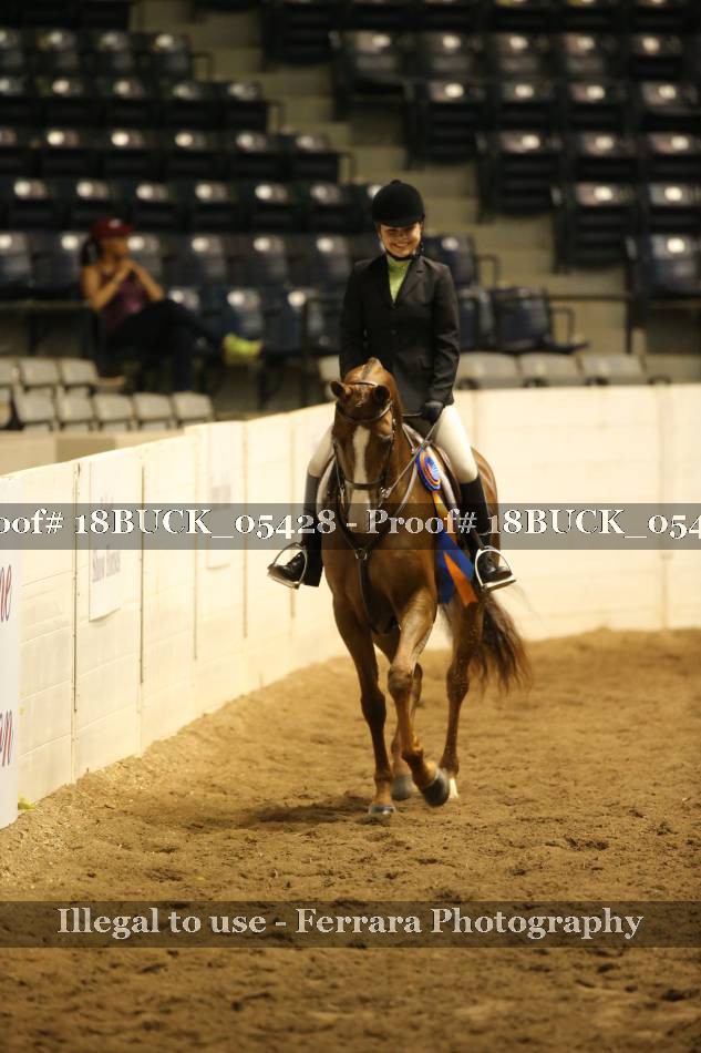 Proof 18BUCK_05428