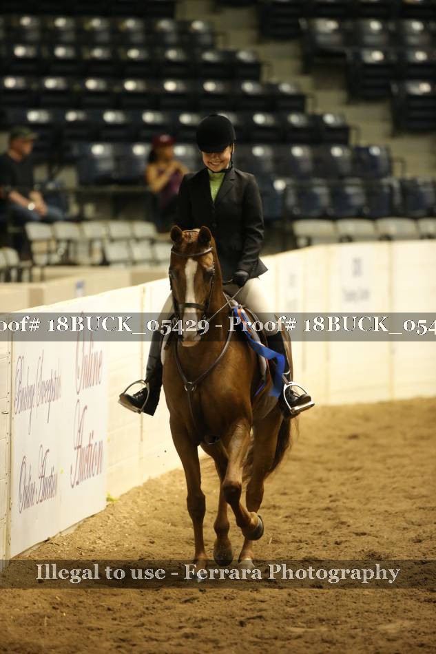 Proof 18BUCK_05429