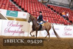 18BUCK_05430 proof