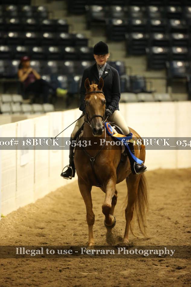 Proof 18BUCK_05431