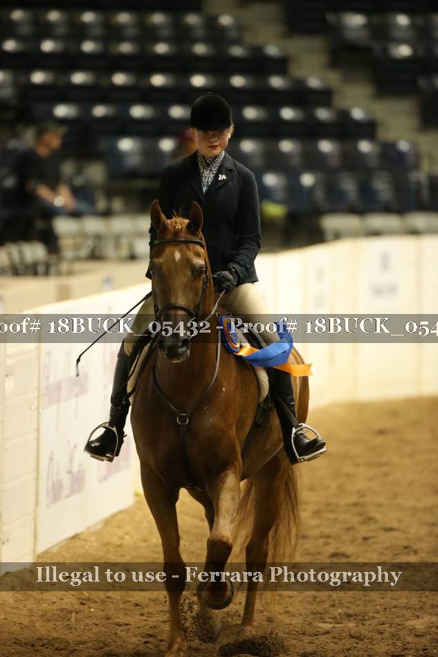 Proof 18BUCK_05432