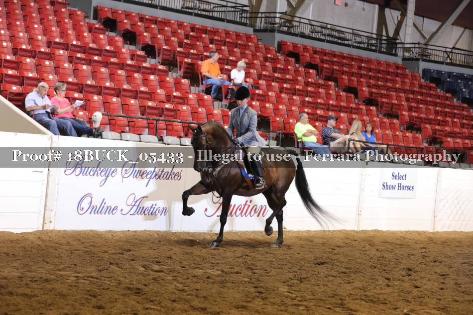 Proof 18BUCK_05433