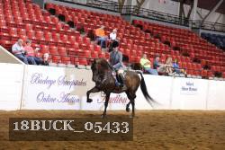 18BUCK_05433 proof