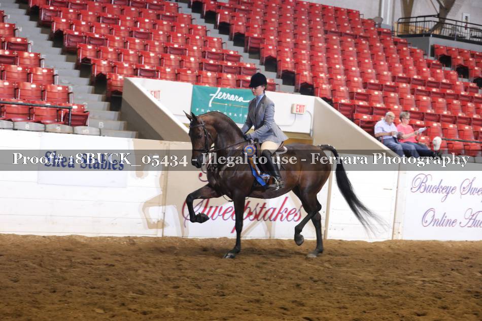 Proof 18BUCK_05434