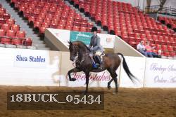 18BUCK_05434 proof