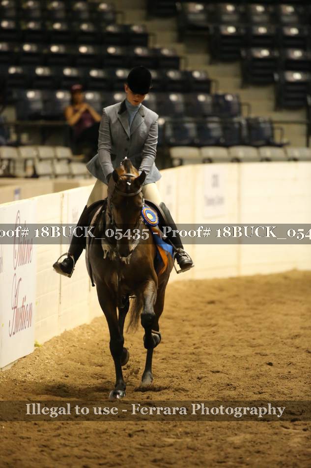 Proof 18BUCK_05435