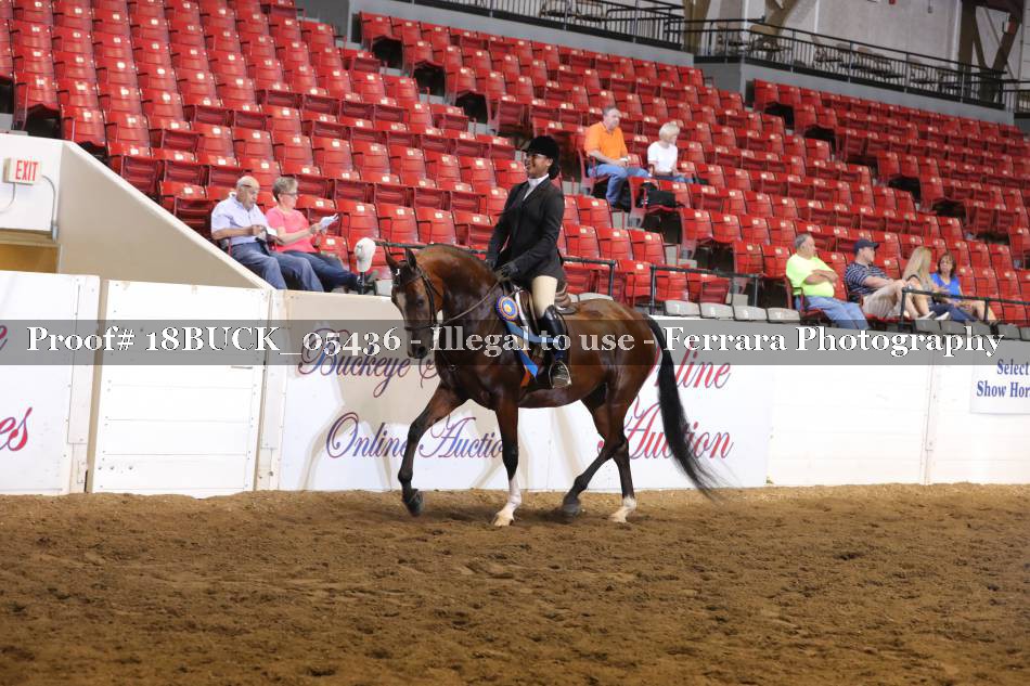 Proof 18BUCK_05436