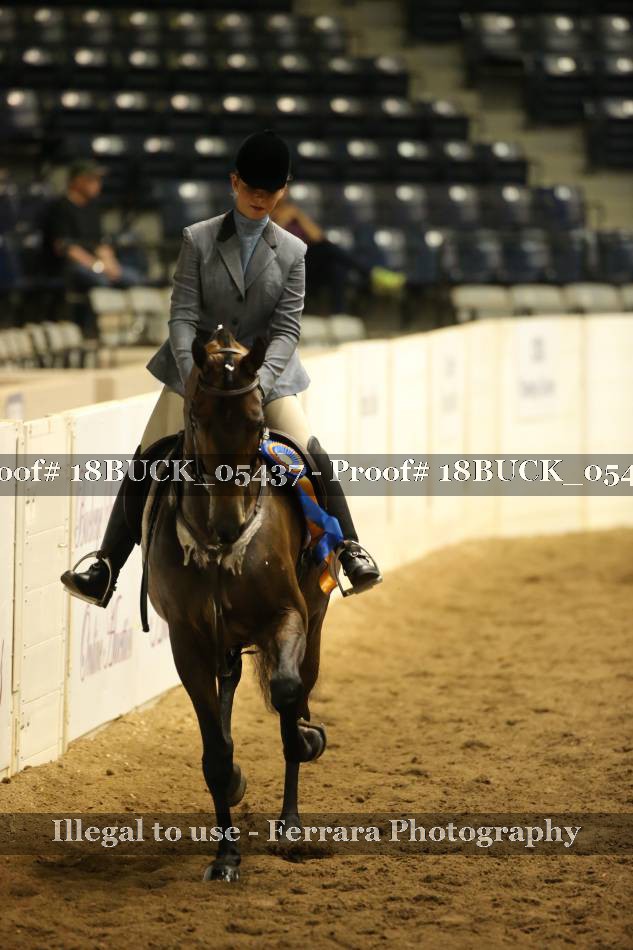 Proof 18BUCK_05437