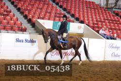 18BUCK_05438 proof