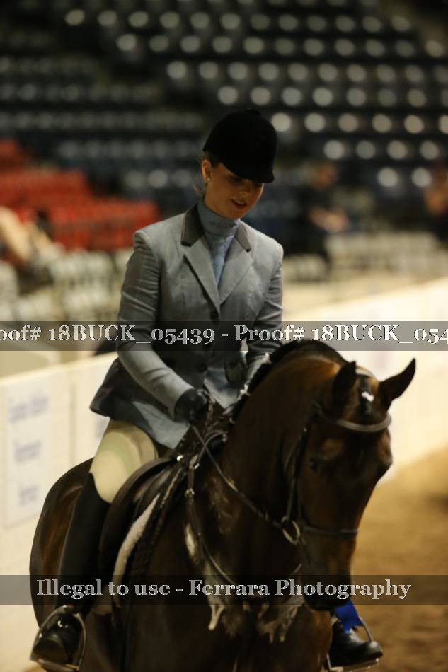 Proof 18BUCK_05439