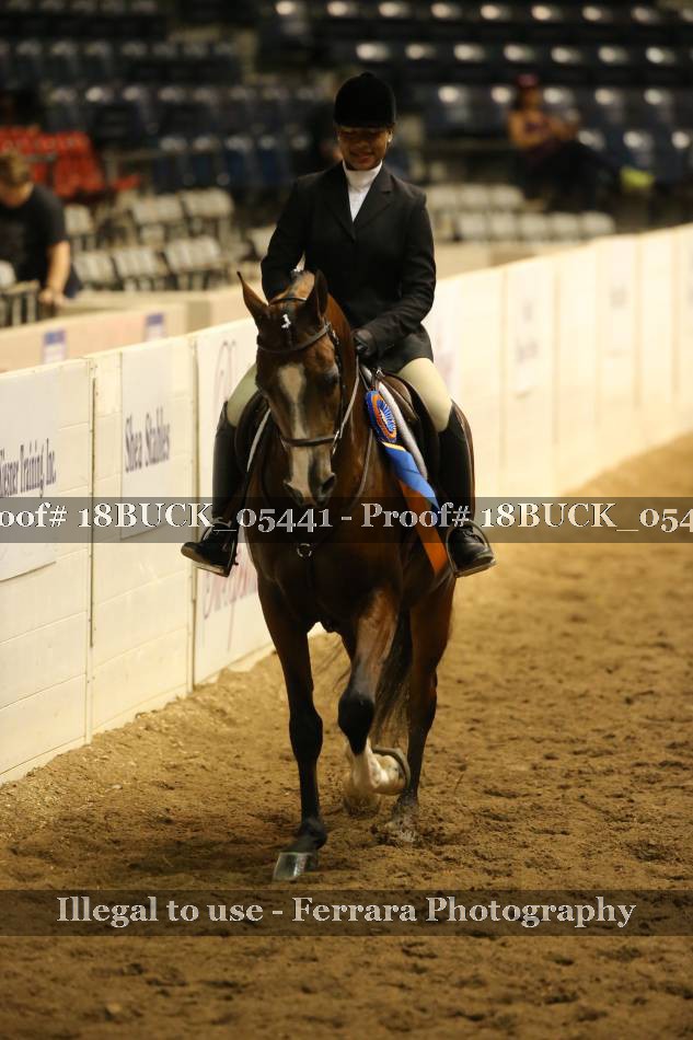 Proof 18BUCK_05441