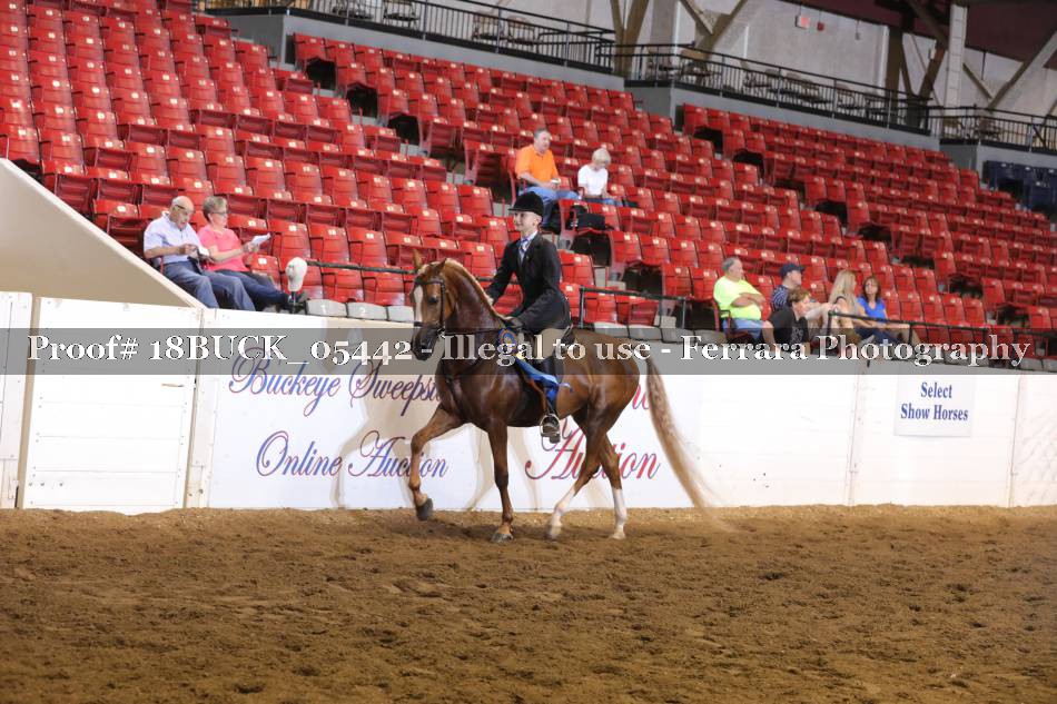 Proof 18BUCK_05442
