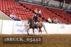 18BUCK_05442 proof