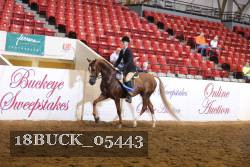 18BUCK_05443 proof