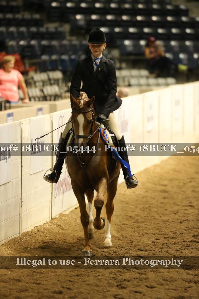 Proof 18BUCK_05444