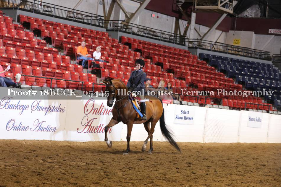 Proof 18BUCK_05445