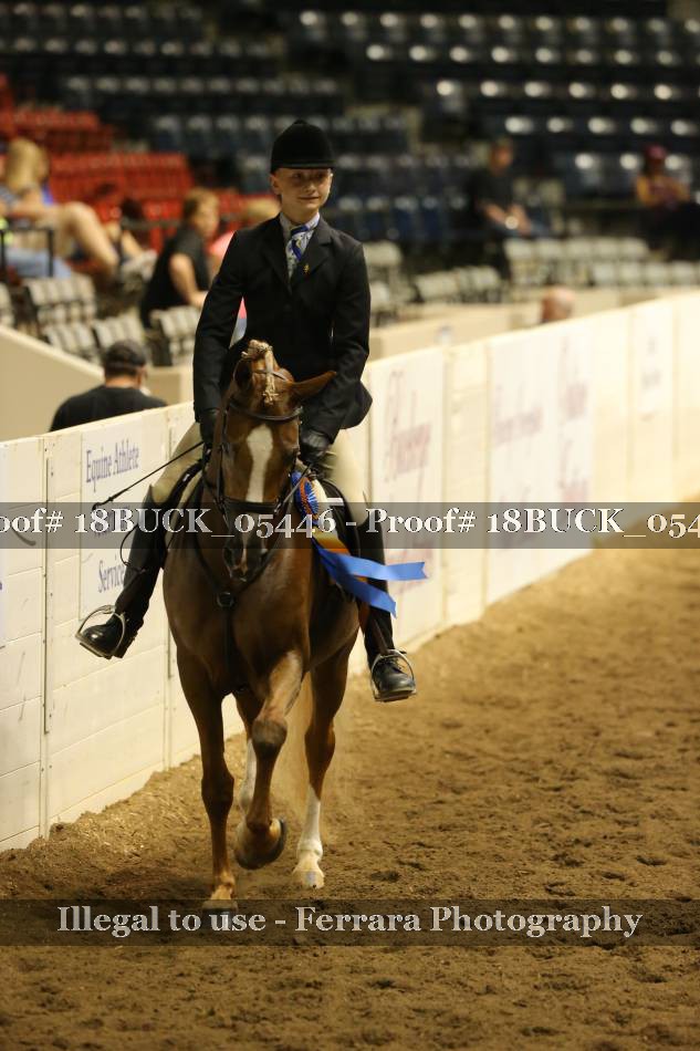 Proof 18BUCK_05446