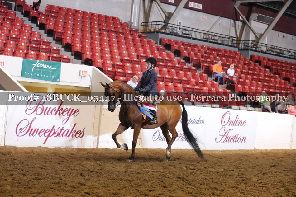 Proof 18BUCK_05447