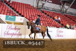 18BUCK_05447 proof