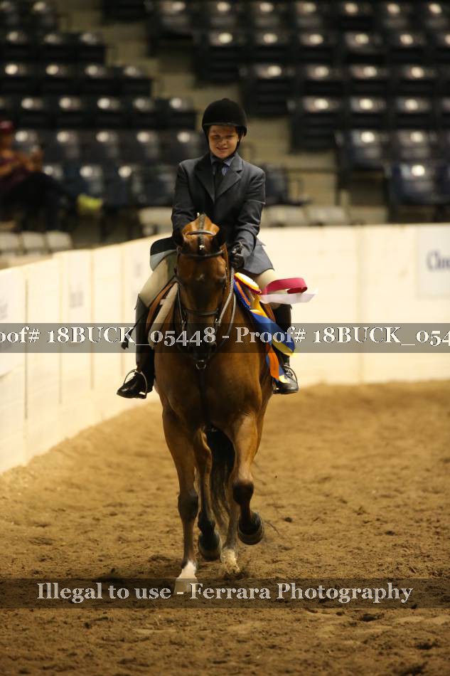 Proof 18BUCK_05448