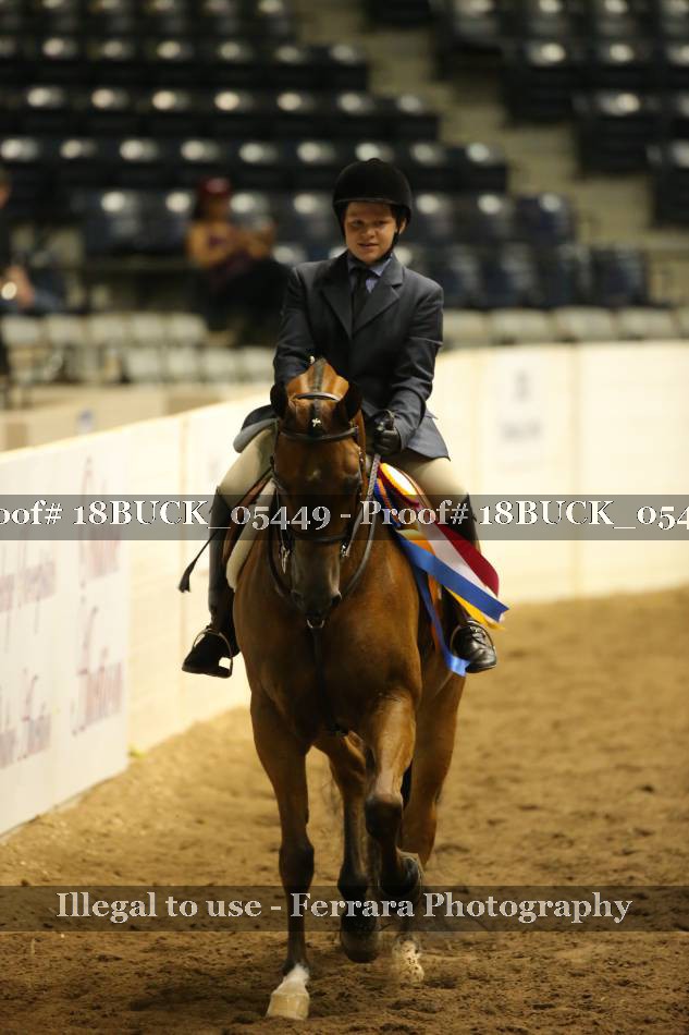 Proof 18BUCK_05449