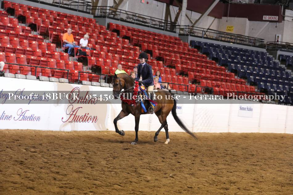 Proof 18BUCK_05450