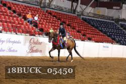 18BUCK_05450 proof