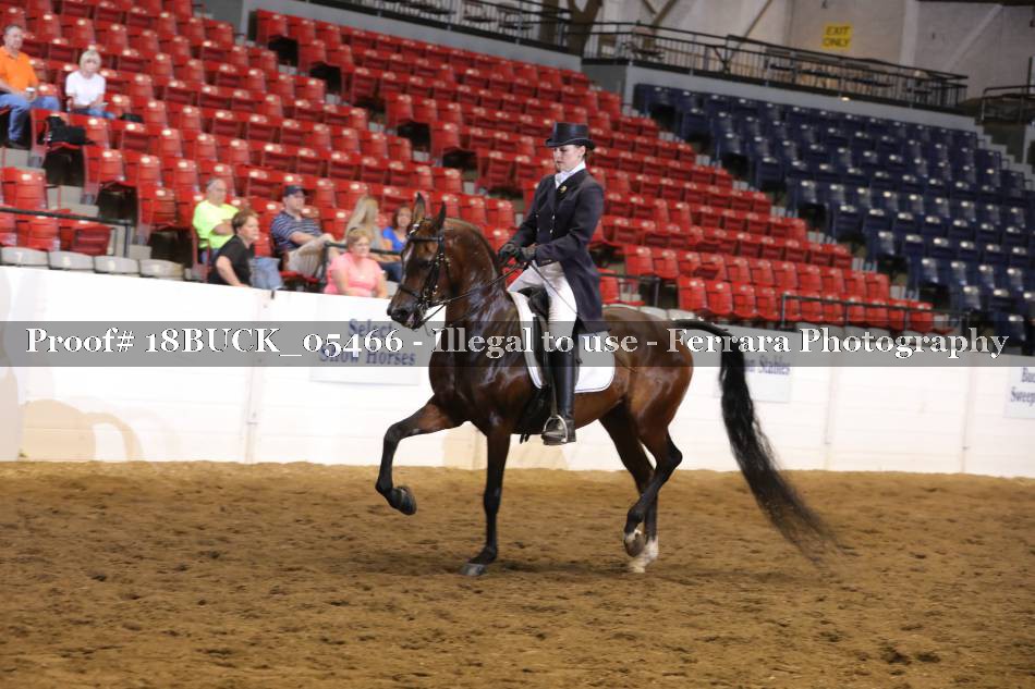 Proof 18BUCK_05466