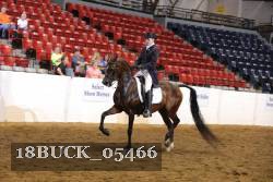 18BUCK_05466 proof