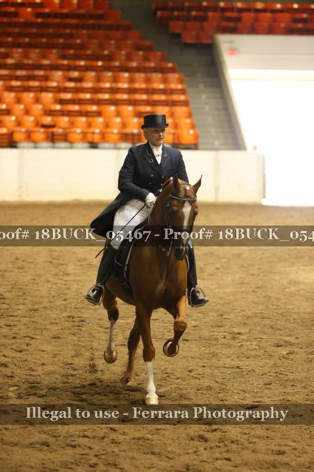 Proof 18BUCK_05467