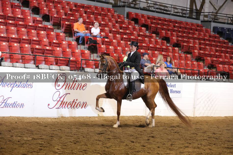 Proof 18BUCK_05468