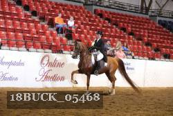 18BUCK_05468 proof