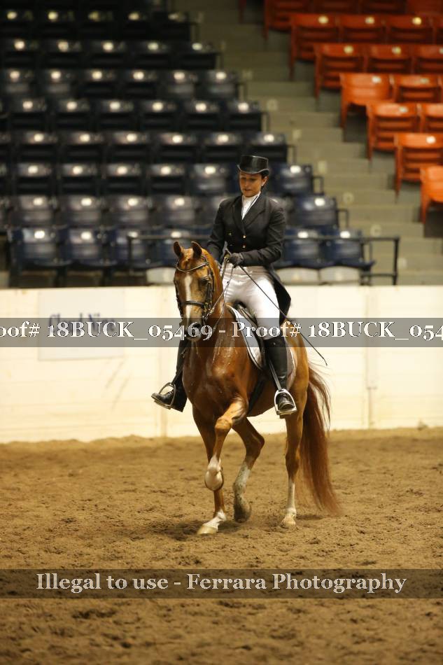 Proof 18BUCK_05469