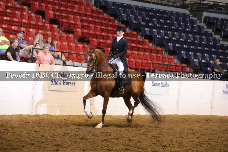 Proof 18BUCK_05470