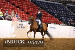 18BUCK_05470 proof