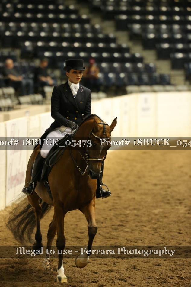 Proof 18BUCK_05473