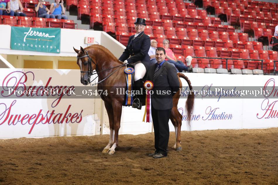Proof 18BUCK_05474
