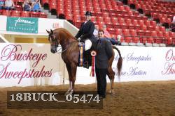 18BUCK_05474 proof