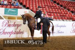 18BUCK_05475 proof