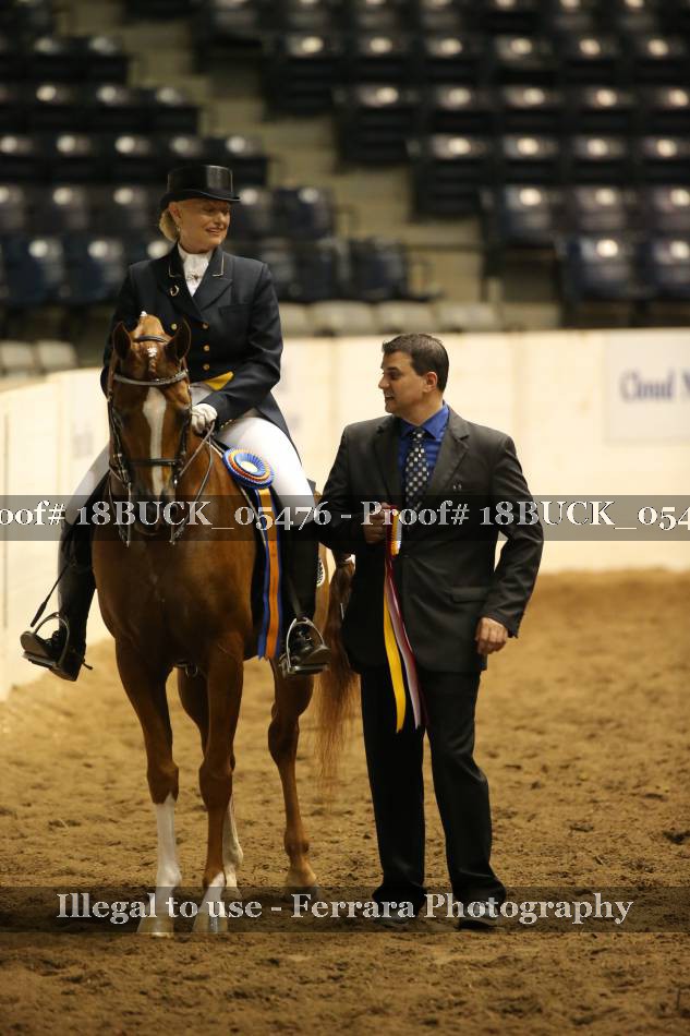 Proof 18BUCK_05476