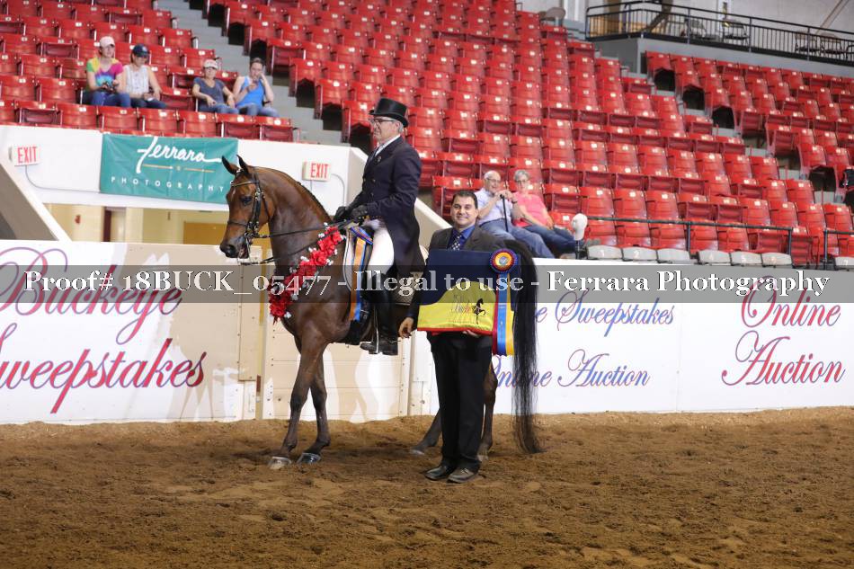 Proof 18BUCK_05477
