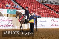 18BUCK_05477 proof